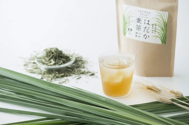 LP/はだか麦茶12TB 4種