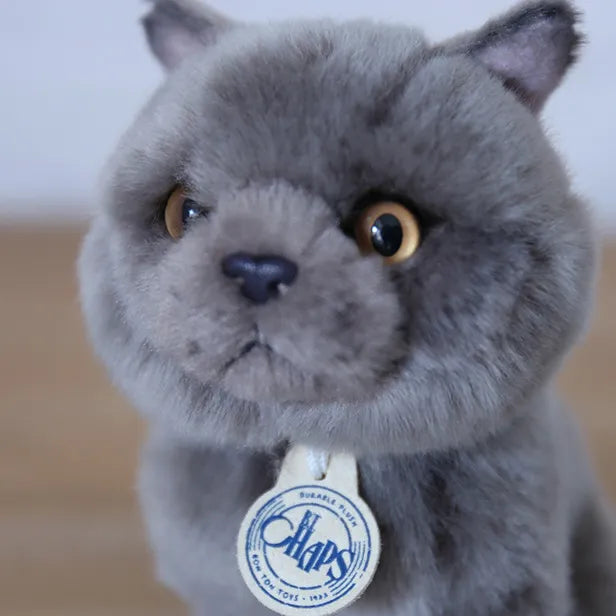 BON TON TOYS/BT CHAPS British Shorthair/ブリティッシュショートヘア