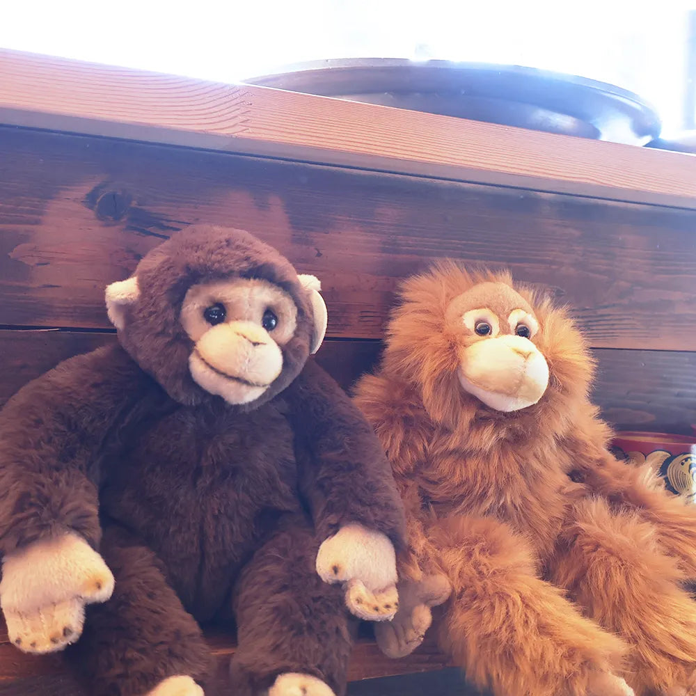 BON TON TOYS/BTTWWF ORANGUTAN オラウータン
