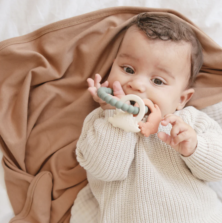 Mushie/Teething Ring リング歯固め【Dino/Space/Nature】