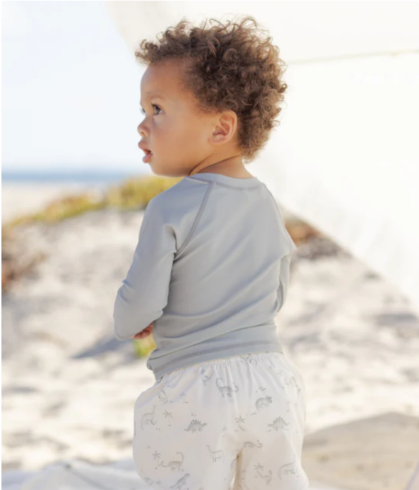 QUINCY Mae/BOYS SWIM SHORT /DINOSAUR /スイムショーツ【2-3Y/4-5Y】
