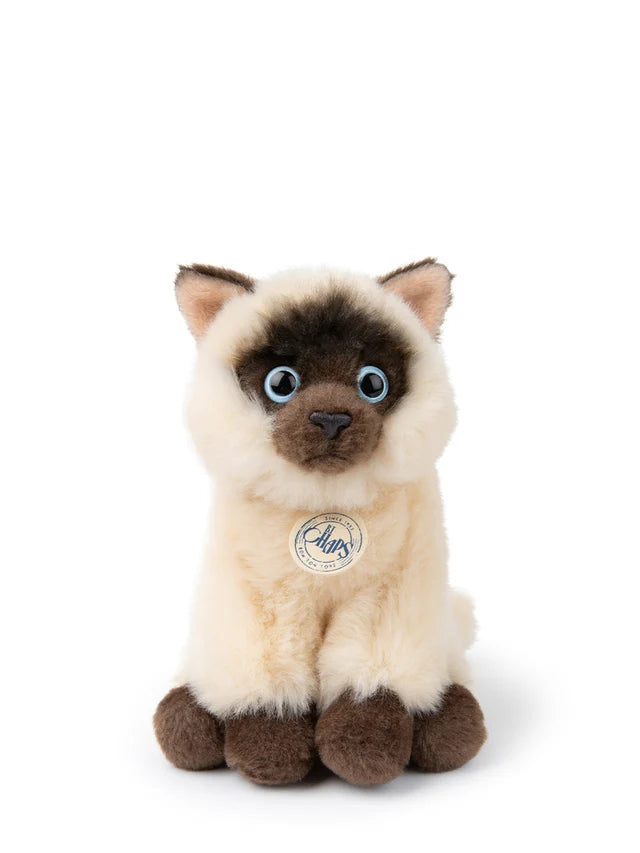 BON TON TOYS/BT CHAPS Siamese シャムネコ