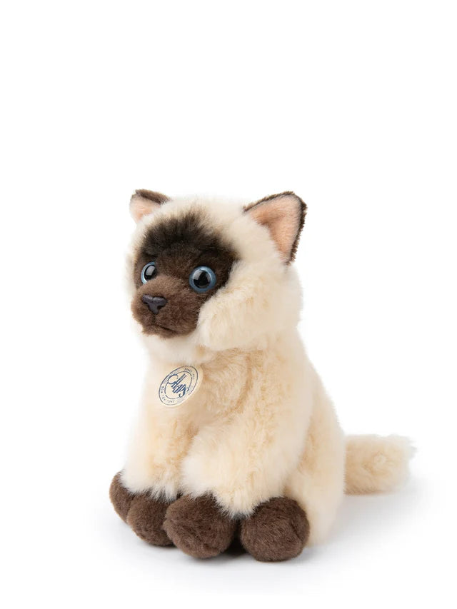 BON TON TOYS/BT CHAPS Siamese シャムネコ