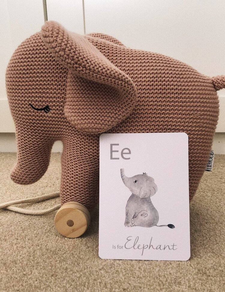 LITTLE ROGLETS/Alphabet Flashcards