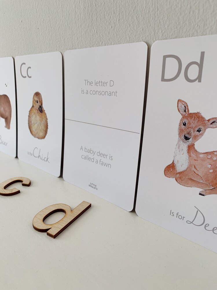 LITTLE ROGLETS/Alphabet Flashcards