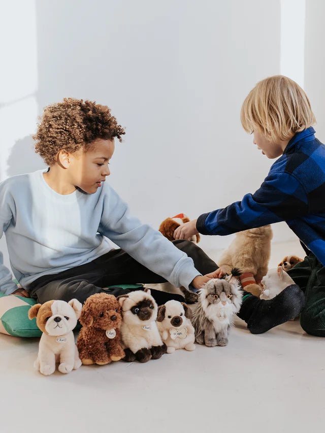 BON TON TOYS/BT CHAPS American Bulldog ブルドッグ