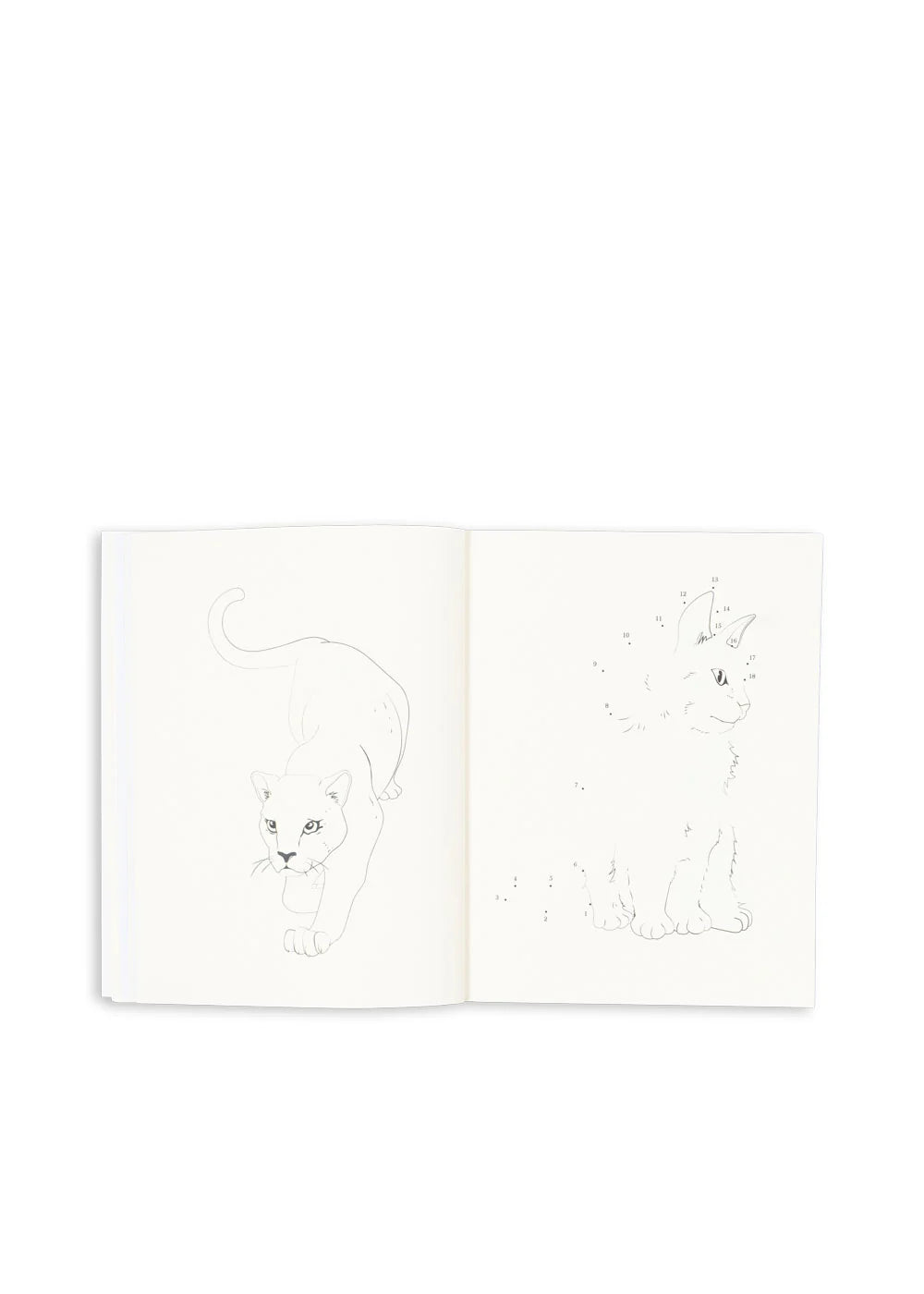 Konges Slojd/ ACTIVITY BOOK/ アクティビティブックと色鉛筆セット