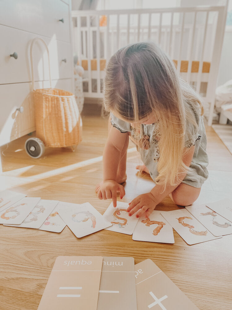 LITTLE ROGLETS/Number Flashcards