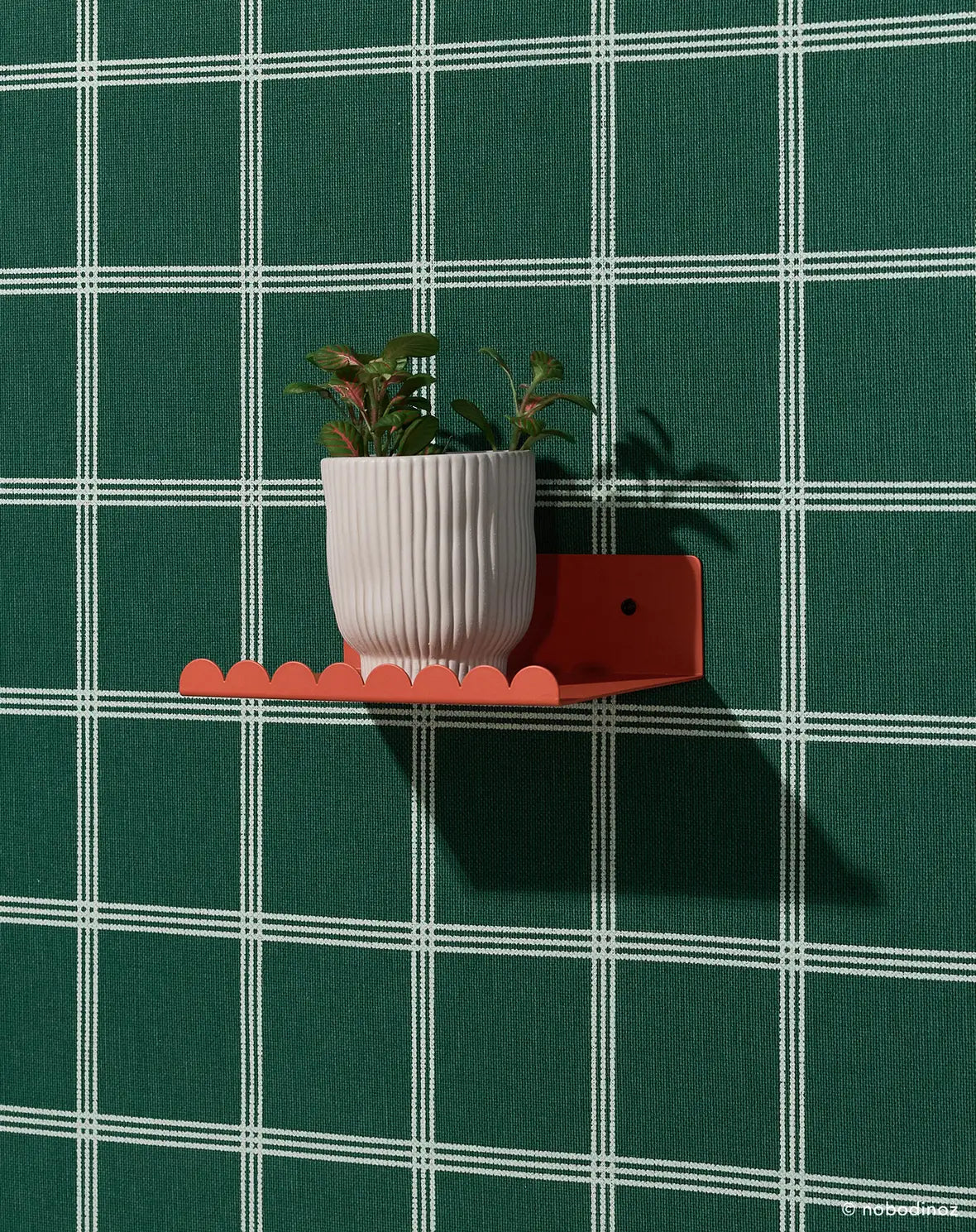 NOBODINOZ/ STEEL WALL SHELF SMALL 壁用シェルフSサイズ【3色】