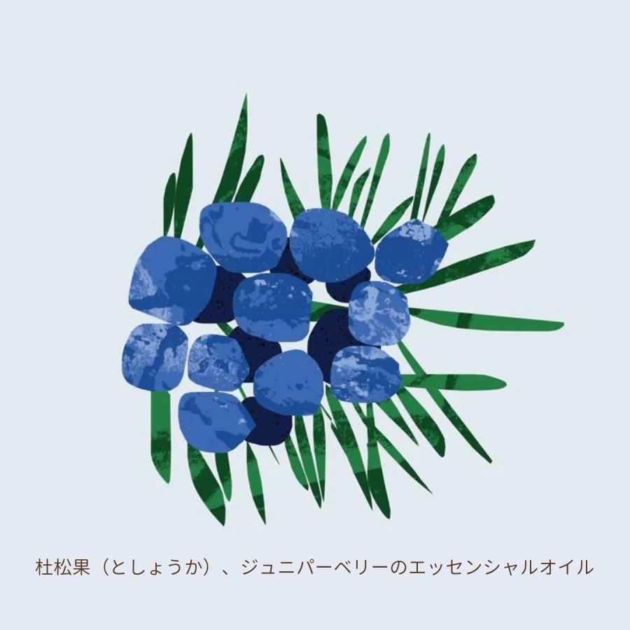 Nature of Things/ エッセンシャルオイル ジャニパーベリー 12ml