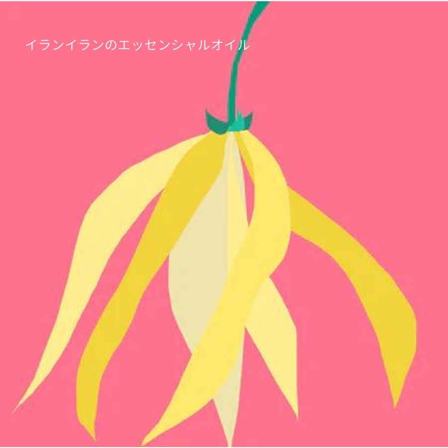 Nature of Things/ エッセンシャルオイル イランイラン 12ml