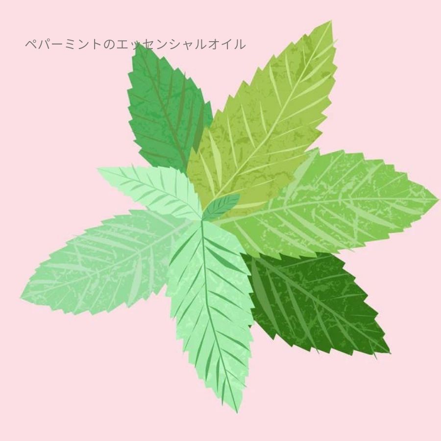 Nature of Things/ エッセンシャルオイル ペパーミント 12ml
