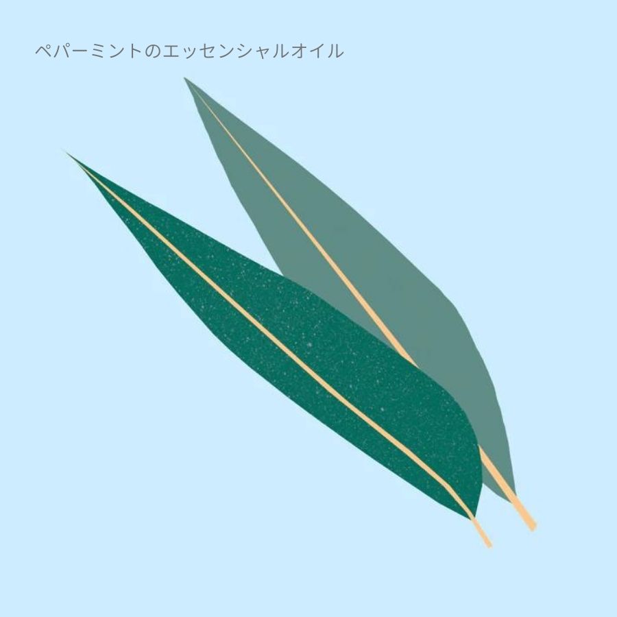 Nature of Things/ エッセンシャルオイル ユーカリ 12ml
