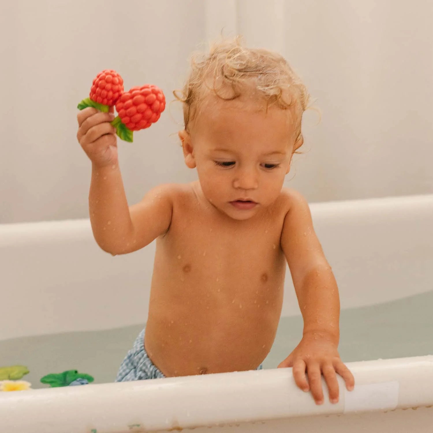 Oli&carol/Baby Teether & Bath Toy(フルーツ)