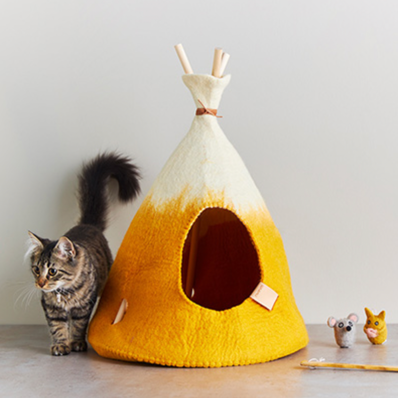 aveva TIPI for Pets