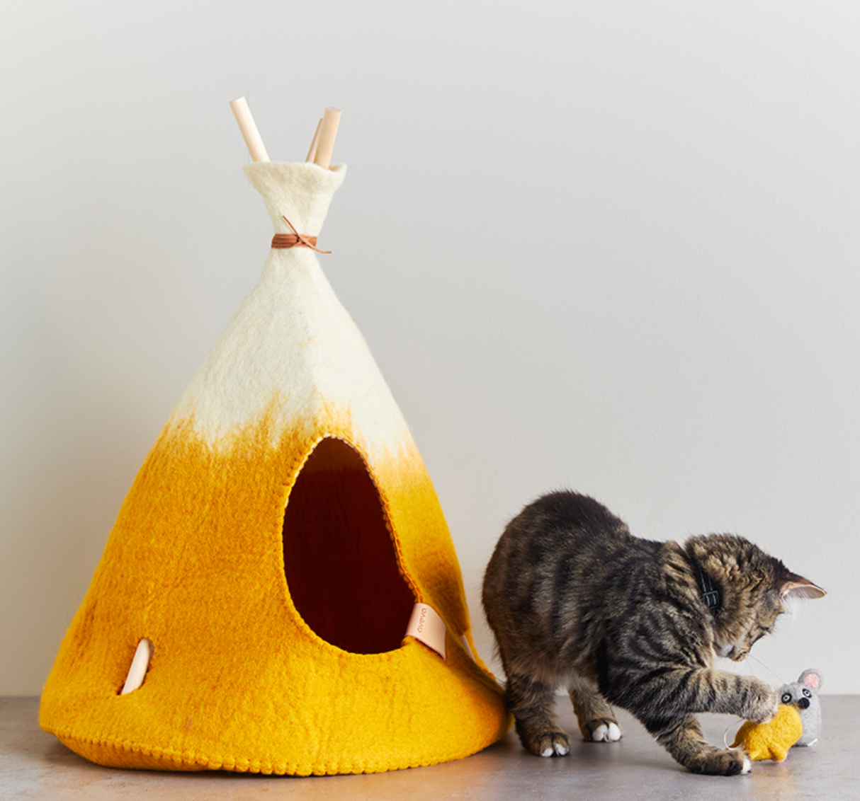 aveva TIPI for Pets