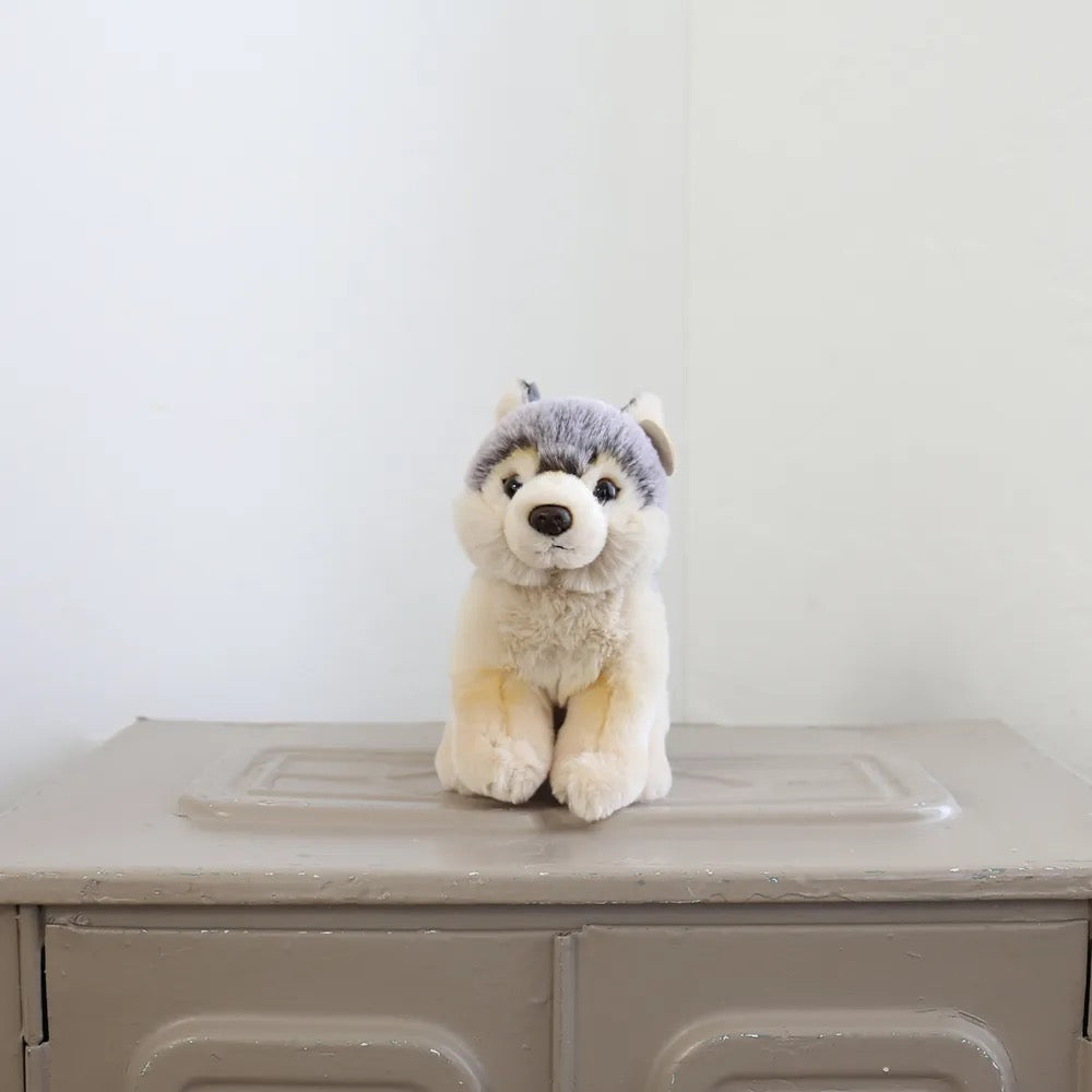 BON TON TOYS/WWF WOLF FLOPPY オオカミ