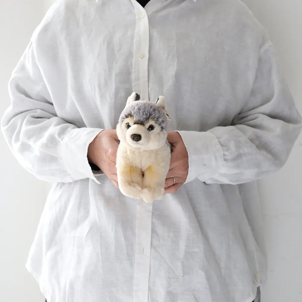 BON TON TOYS/WWF WOLF FLOPPY オオカミ