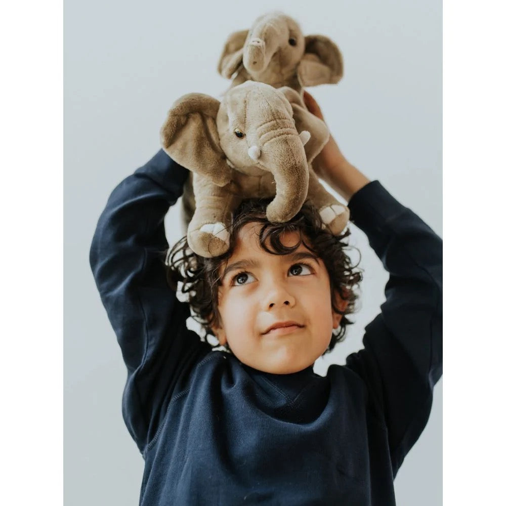 BON TON TOYS/WWF AFRICAN ELEPHANT TU　アフリカゾウ