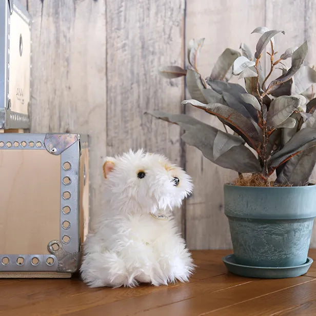 BON TON TOYS/BT CHAPS Scottish Terrier　スコティッシュ・テリア