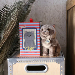 BON TON TOYS/BT CHAPS British Shorthair　ブリティッシュショートヘア