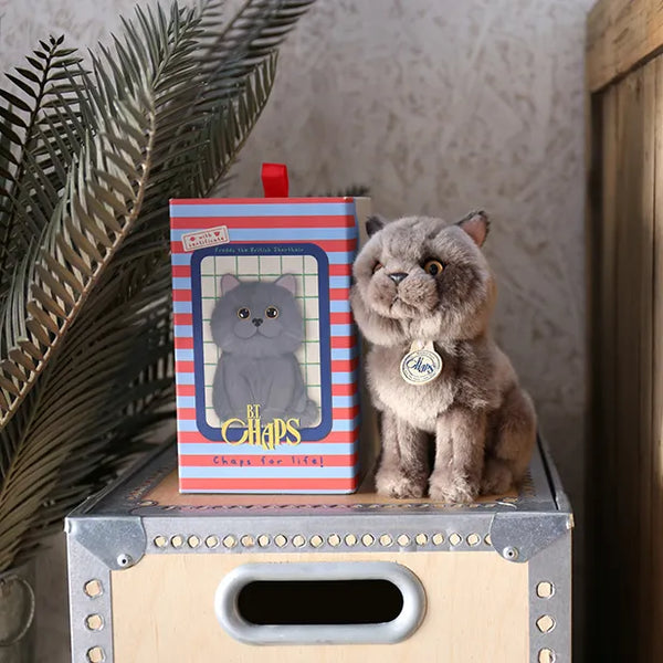 BON TON TOYS/BT CHAPS British Shorthair　ブリティッシュショートヘア