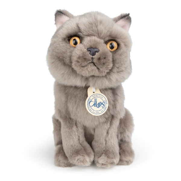 BON TON TOYS/BT CHAPS British Shorthair　ブリティッシュショートヘア