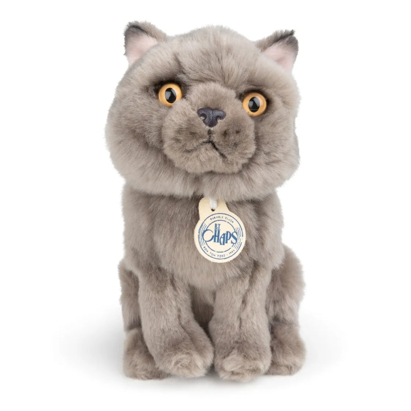 BON TON TOYS/BT CHAPS British Shorthair　ブリティッシュショートヘア