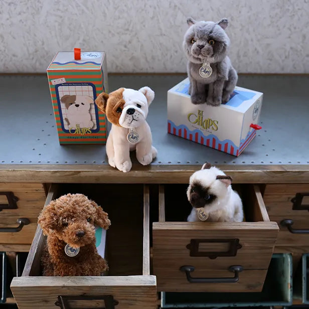 BON TON TOYS/BT CHAPS British Shorthair　ブリティッシュショートヘア