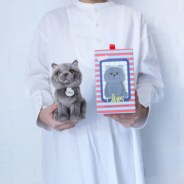 BON TON TOYS/BT CHAPS British Shorthair　ブリティッシュショートヘア