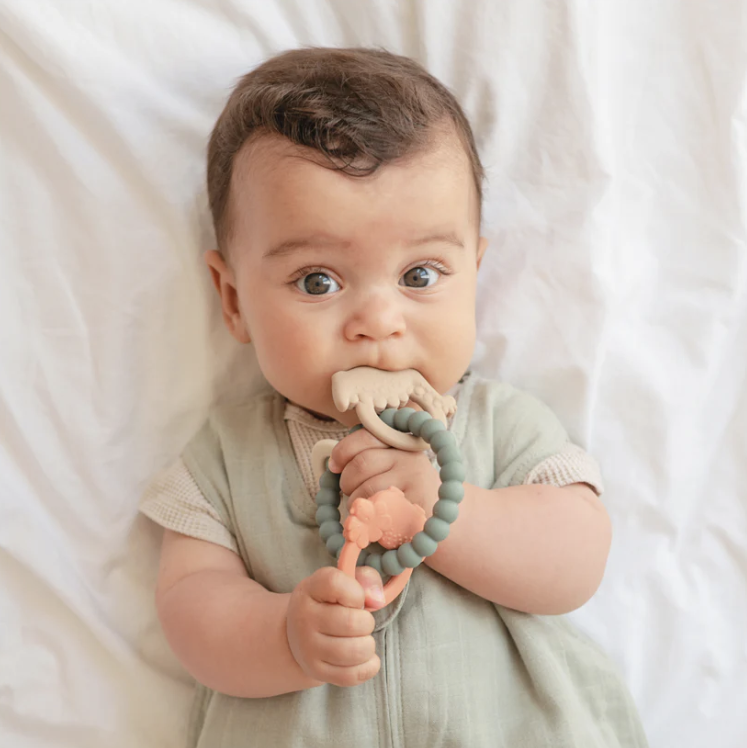 Mushie/Teething Ring　リング歯固め【Dino/Space/Nature】