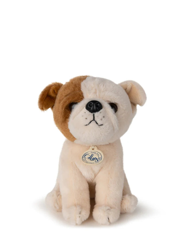 BON TON TOYS/BT CHAPS American Bulldog　ブルドッグ