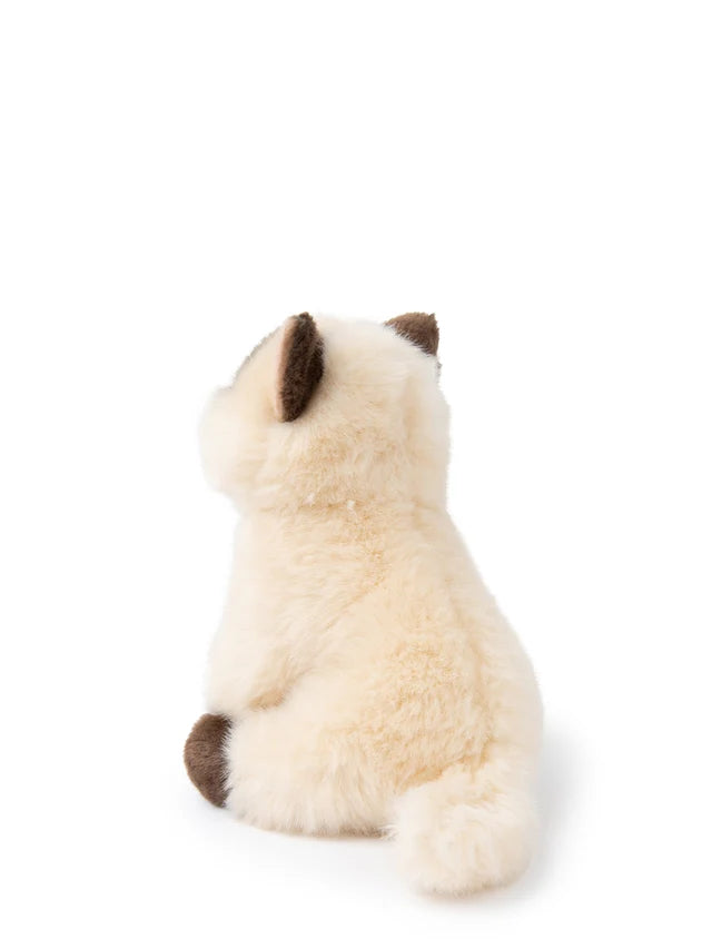BON TON TOYS/BT CHAPS Siamese　シャムネコ