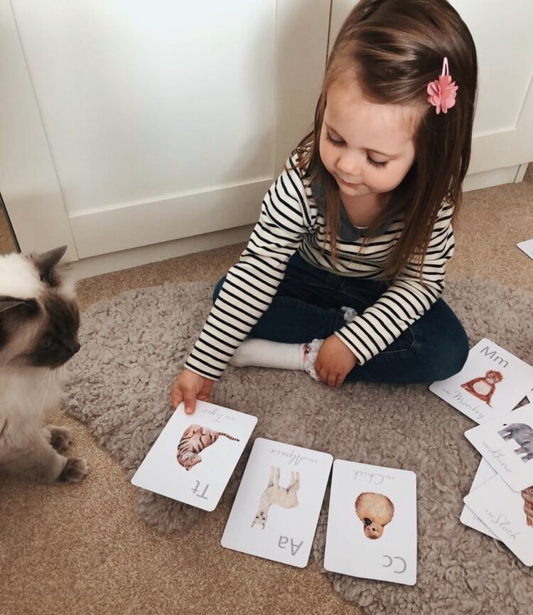 LITTLE ROGLETS/Alphabet Flashcards
