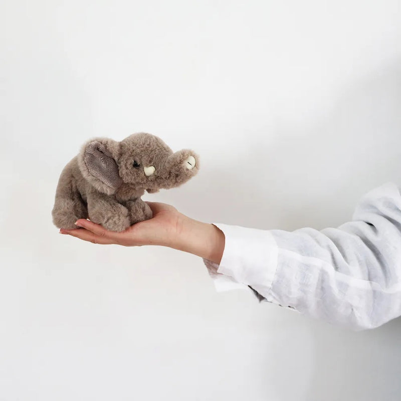 BON TON TOYS/WWF ELEPHANT ゾウ【選べる2サイズ】 – HOWMORE LIVING