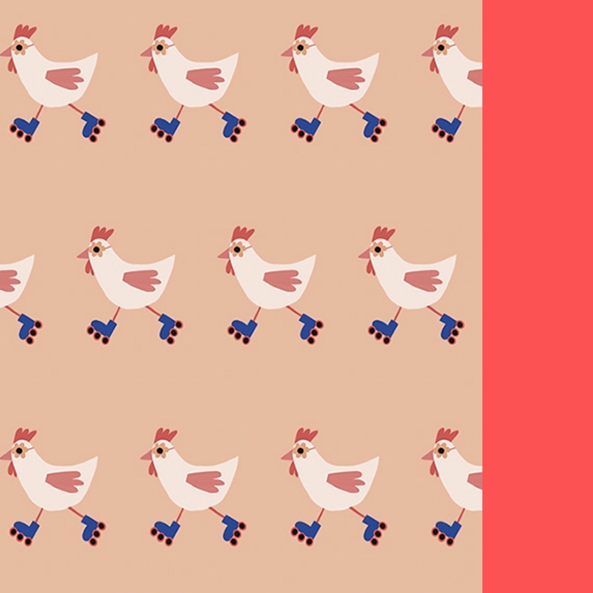 PAPER BOAT/Cool chicken swimsuit【1Y・2Y】水着