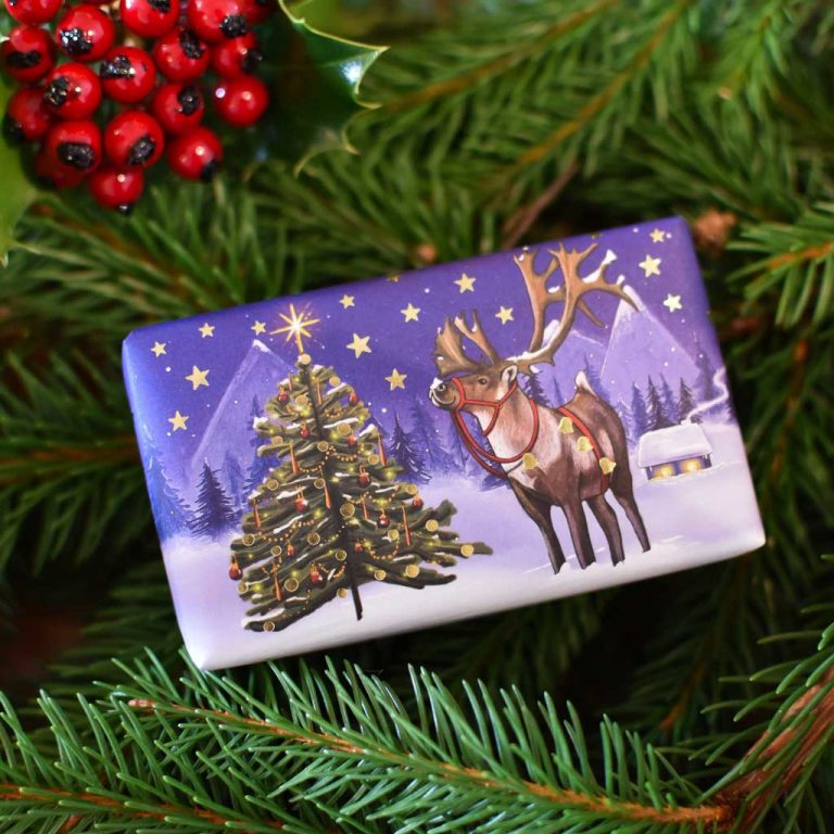 English Soap Company/ ソープ　Christmas Collection【5種】