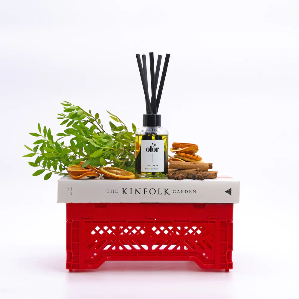 olor/Christmas Diffuser