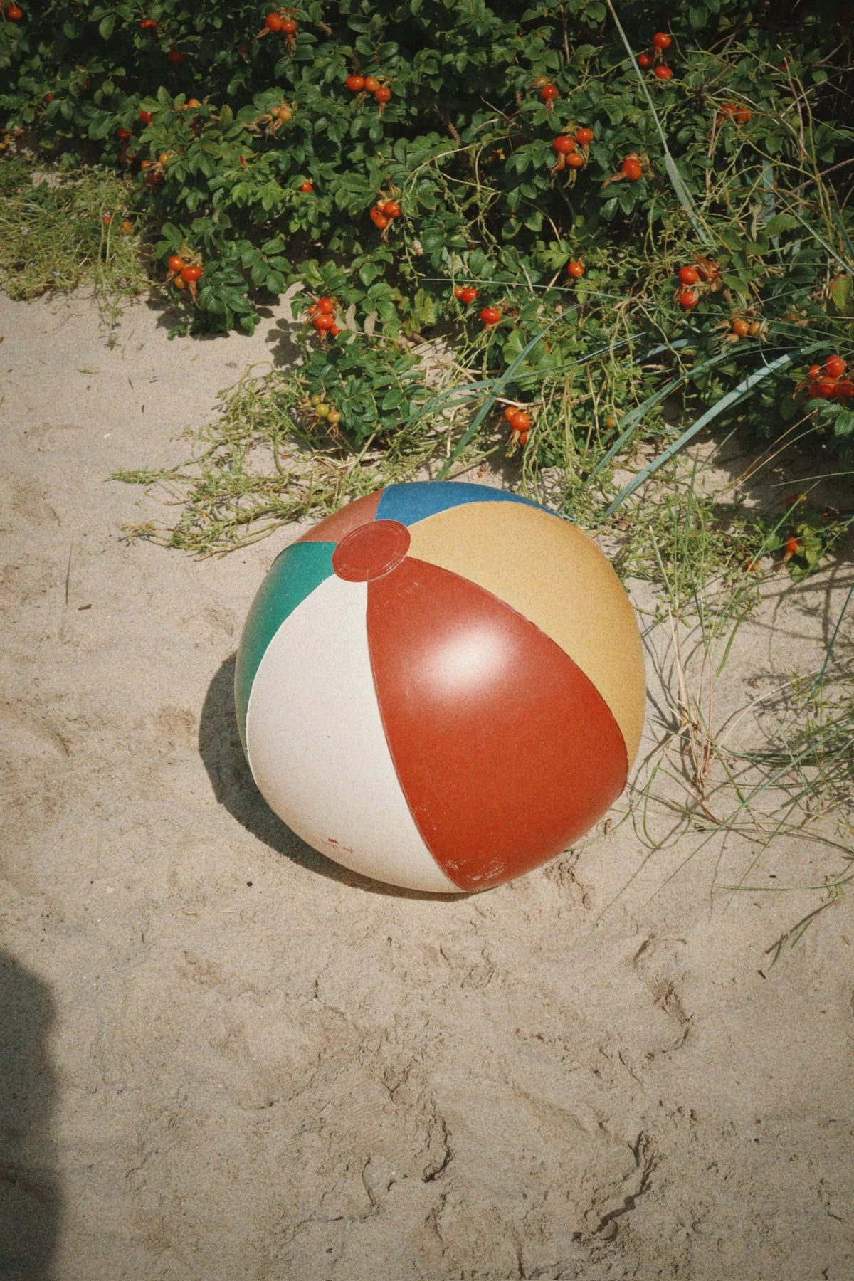 Konges Slojd/SWIM RING AND BEACH BALL SET/MULTI/浮き輪とビーチボールセット