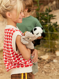 BON TON TOYS/BTT WWF ELEPHANT  ゾウ