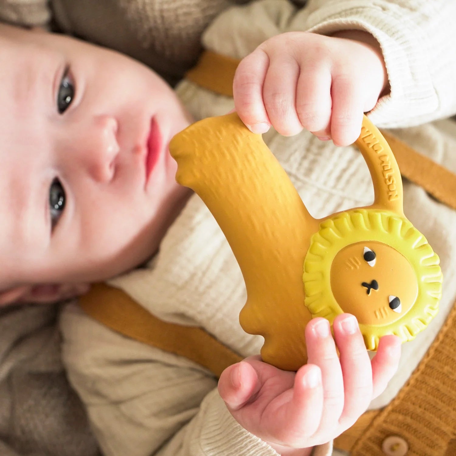 Oli&carol/Baby Teether & Bath Toy（動物）