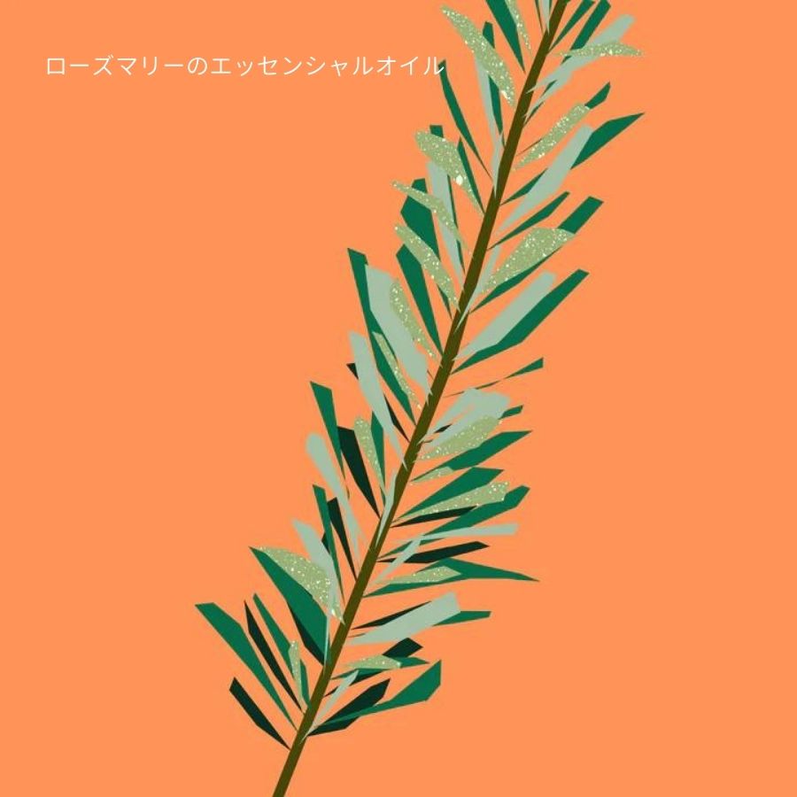 Nature of Things/ エッセンシャルオイル ローズマリー 12ml