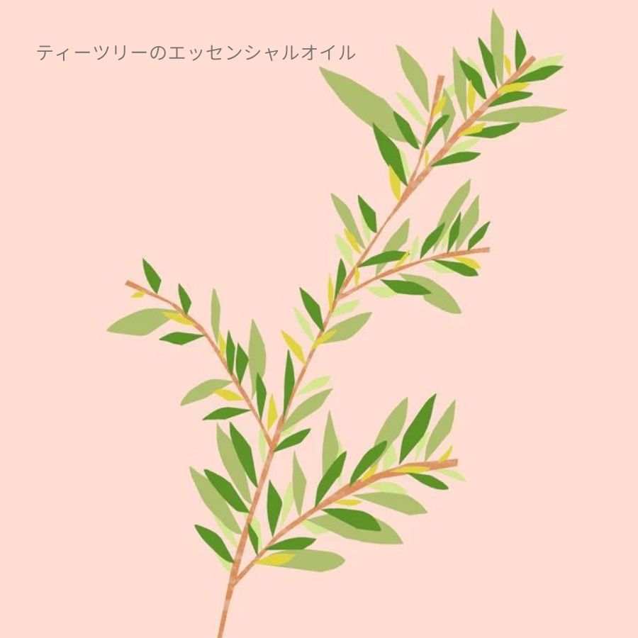 Nature of Things/ エッセンシャルオイル ティーツリー 12ml