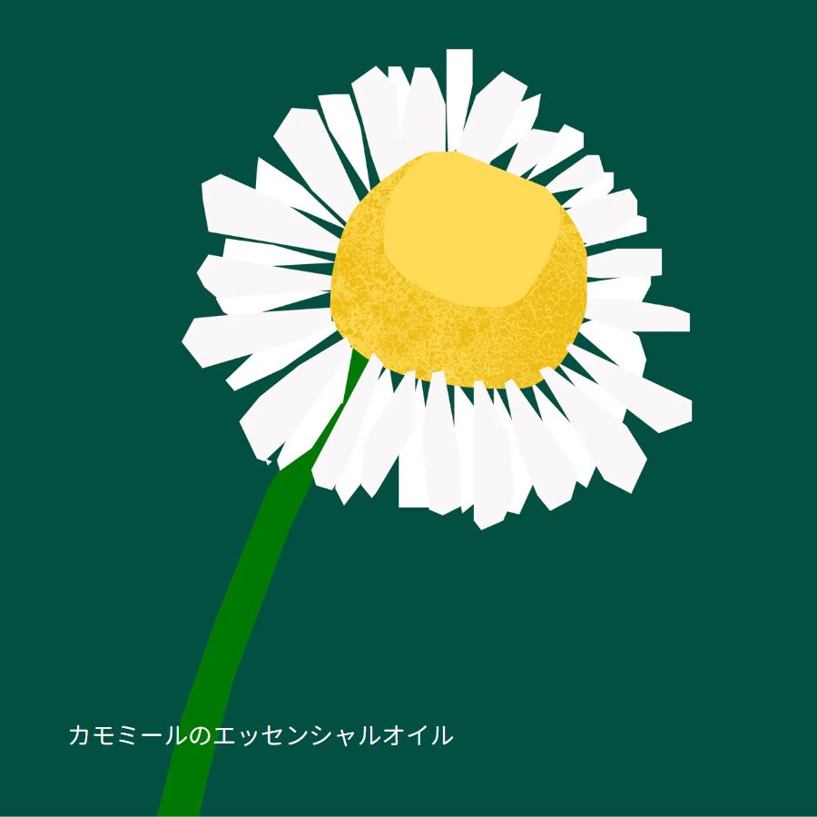 Nature of Things/ エッセンシャルオイル カモミール 5ml