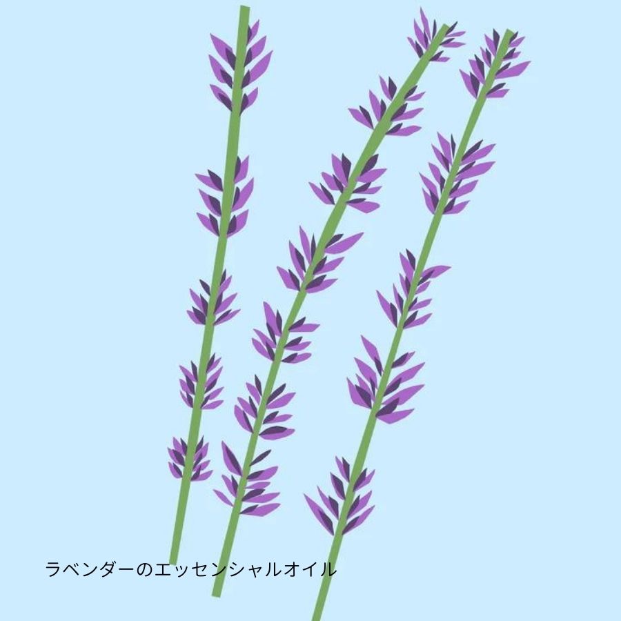 Nature of Things/ エッセンシャルオイル ラベンダー 12ml