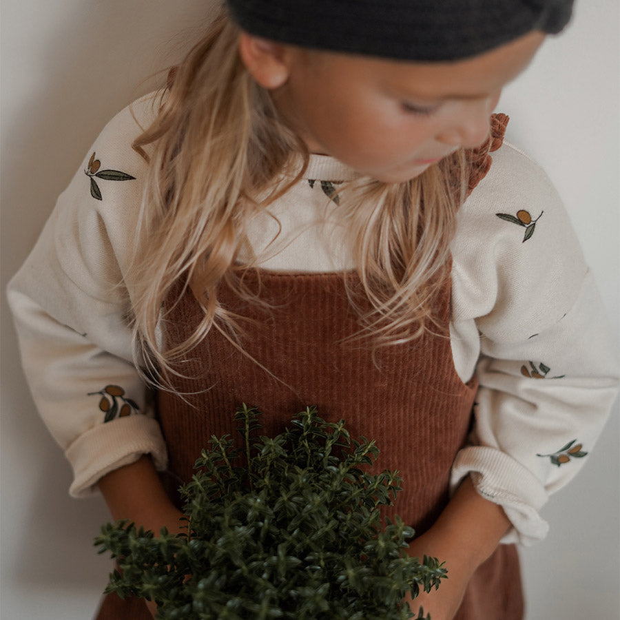 Organic Zoo / Olive Garden Sweatshirt