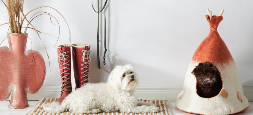 aveva TIPI for Pets