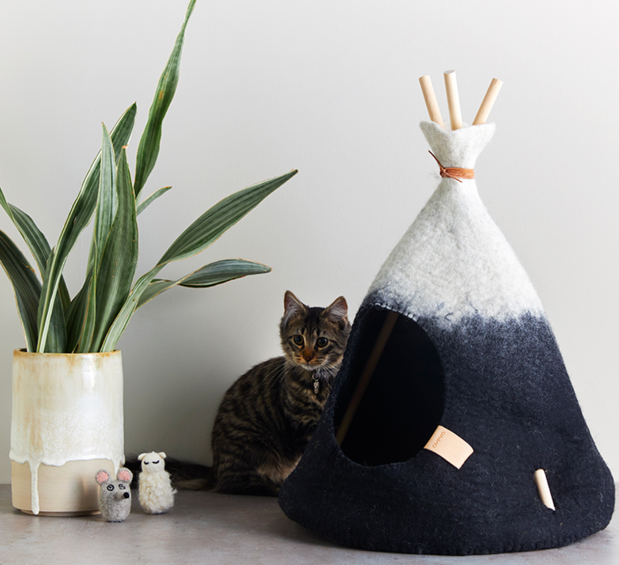 aveva TIPI for Pets