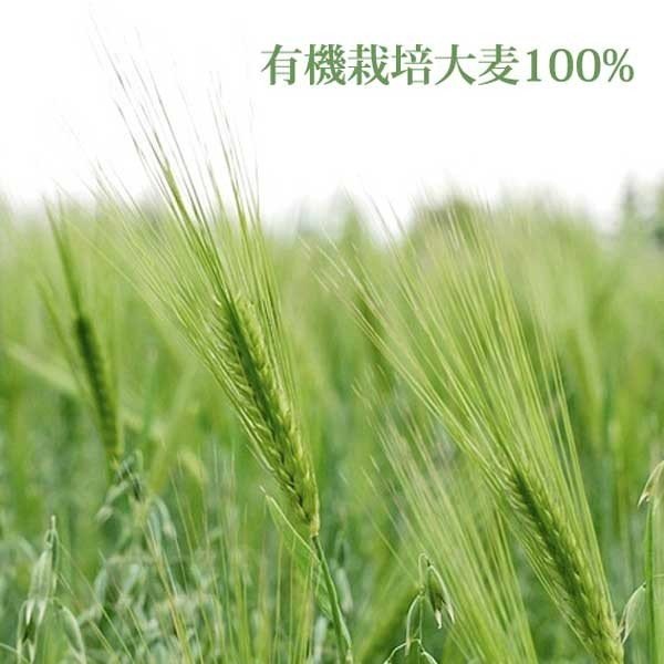 有機栽培大麦100％使用 オーガニックむぎ茶 10g×20包