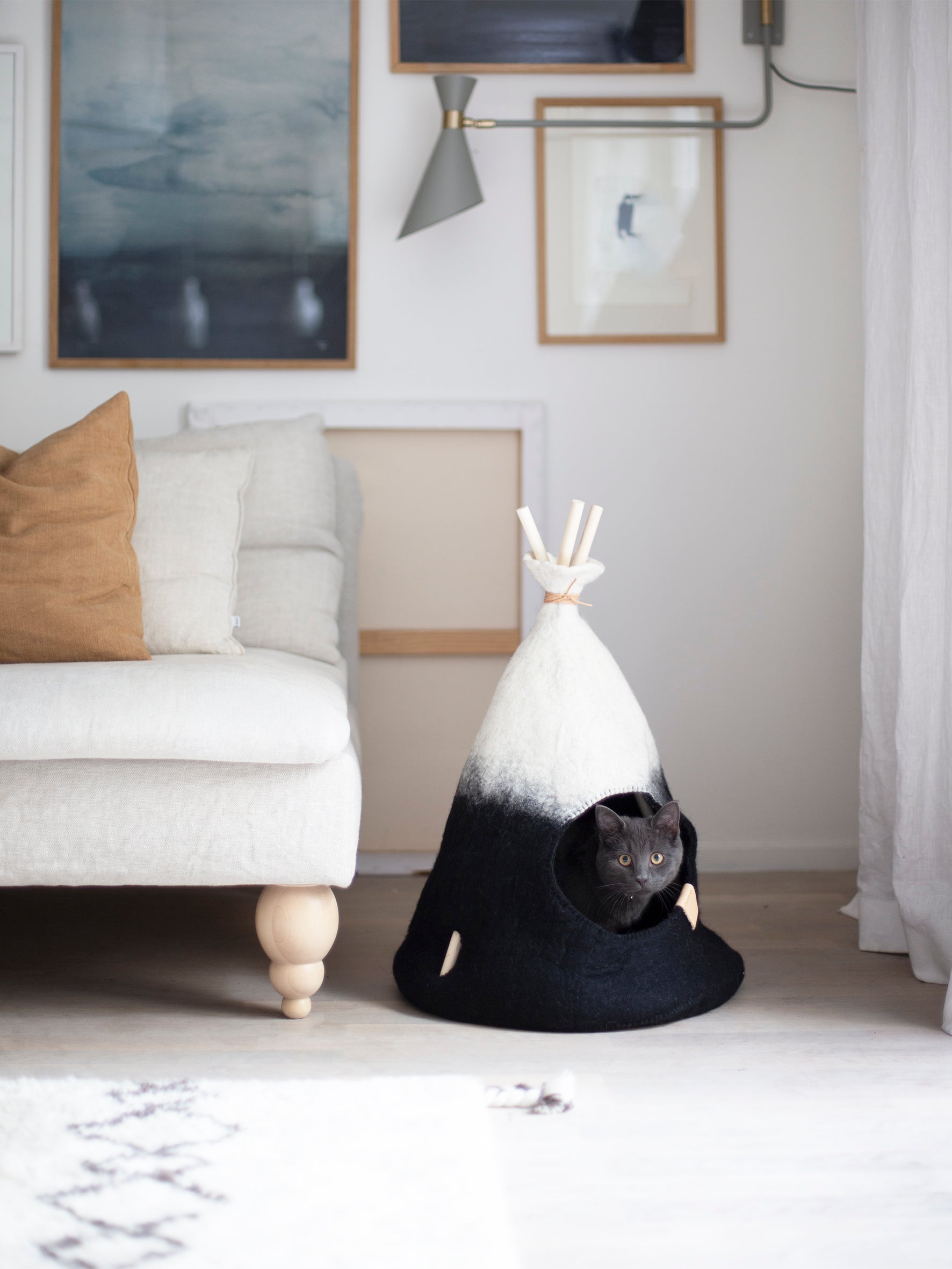 aveva TIPI for Pets